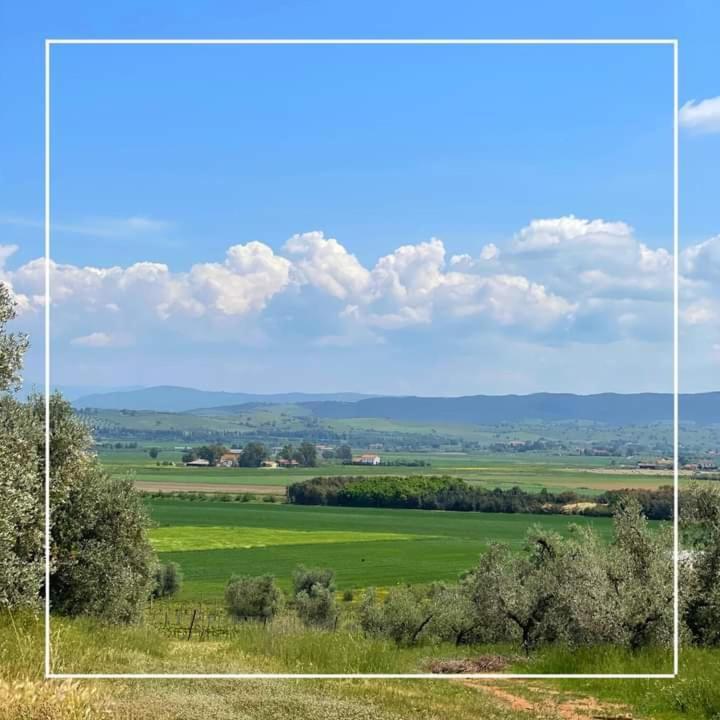 Agriturismo I Grappoli Альберезе Экстерьер фото